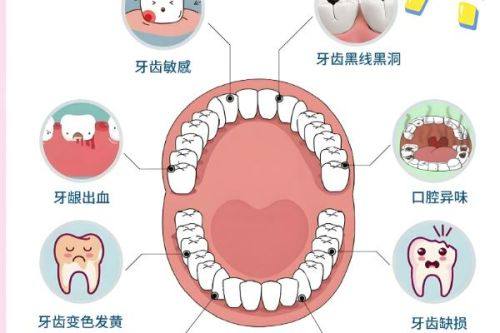 牙洞大小对收费的影响