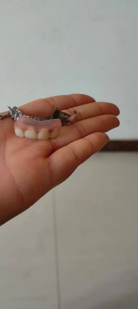 口腔适应：给点时间，慢慢习惯