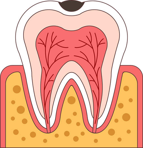 特殊情况对补牙维持时间的挑战
