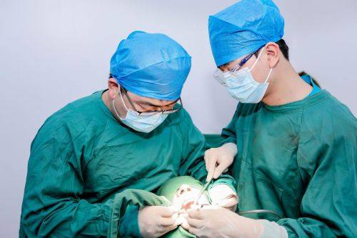 饮食调整助力修复