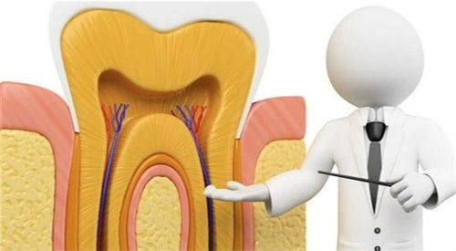 牙套材质选择对必要性的影响