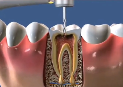 如何获取正确价格