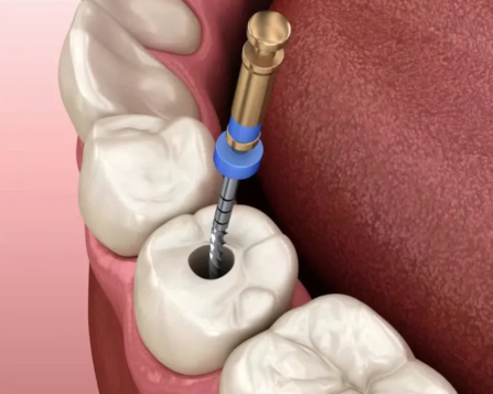 医院和医生的选择对价格的影响
