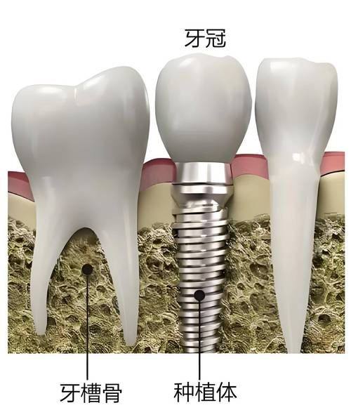 未来价格趋势：有下降可能性