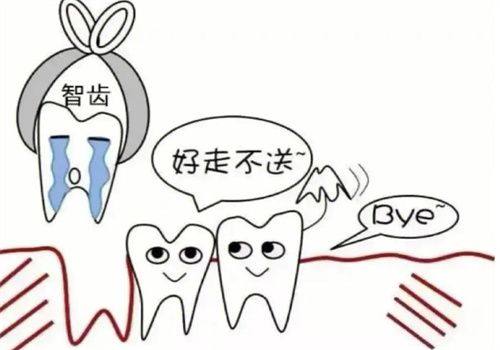 拔烂牙的大致费用范围